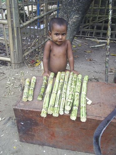 Bangladesh kid (97).png